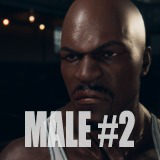 Icon of the asset:Ahab's Characters: Male#2