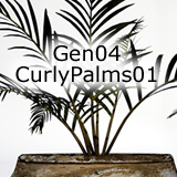 Icon of the asset:Gen04-CurlyPalms01