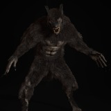 Icon of the asset:3d Character Werewolf