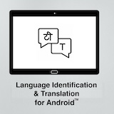 Icon of the asset:Language Identification And Translation