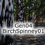 Icon of the asset:Gen04-BirchSpinney01