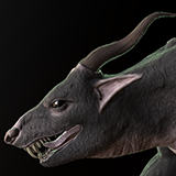 Icon of the asset:Creature ratodog