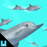 Icon of the asset:Dolphin Particles