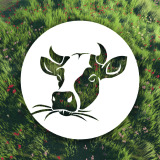 Icon of the asset:Tasty Grass Shader (URP 3D & VR)