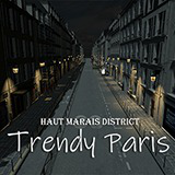 Icon of the asset:Realistic_Trendy_Paris_Street