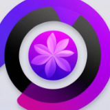 Icon of the asset:Ultimate Screenshot Manager